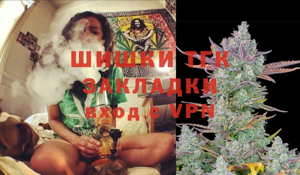 дмт Ладушкин