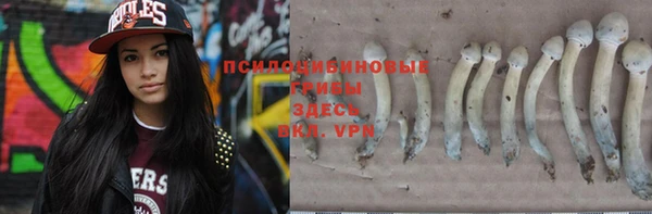 гидропоника Кулебаки
