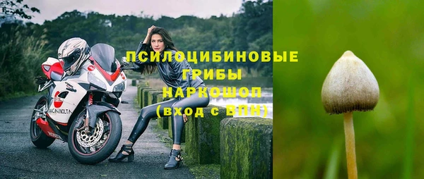 PSILOCYBIN Куйбышев