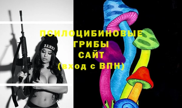 не бодяженный Лабытнанги