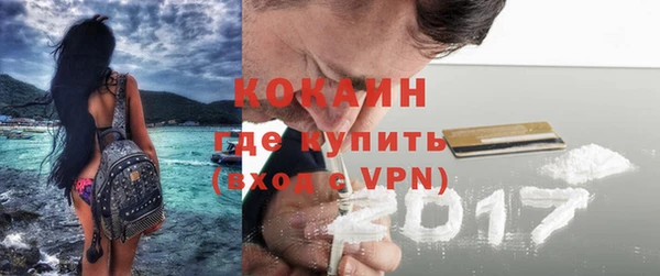 дмт Ладушкин